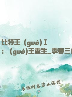 比特王國(guó)Ⅰ: 國(guó)王重生